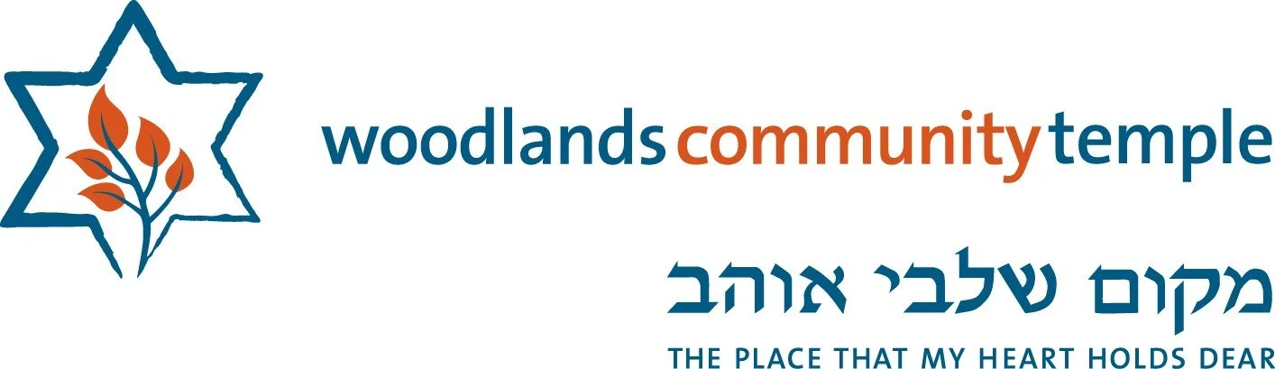 Director of Youth Engagement Position