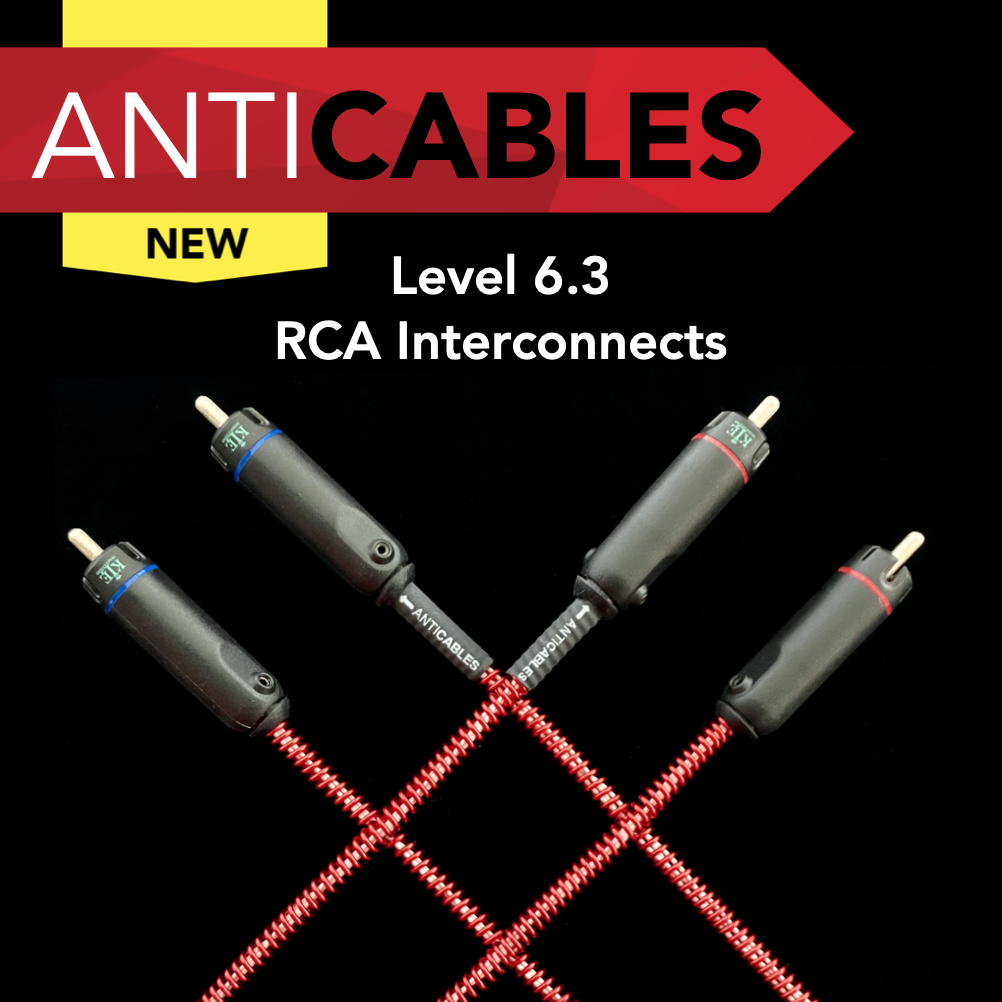 Level 6.3 RCA ICs.png