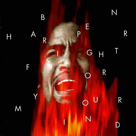 ben harper.jpeg