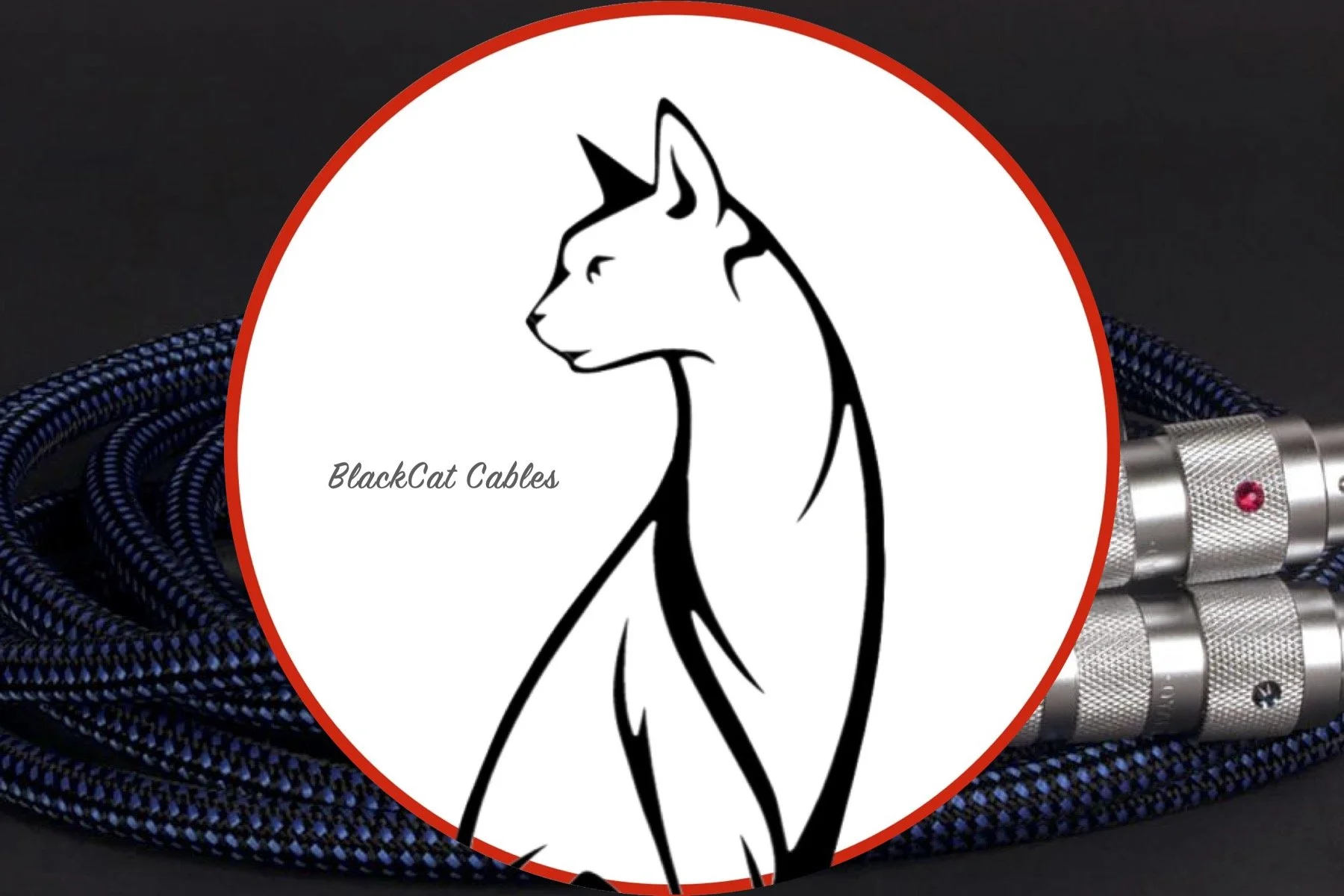 BlackCat Square Ad.jpg