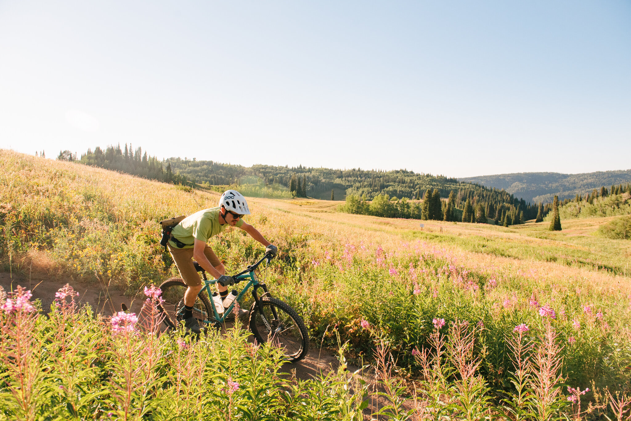 Wildflower_Top-Selects-5.jpg