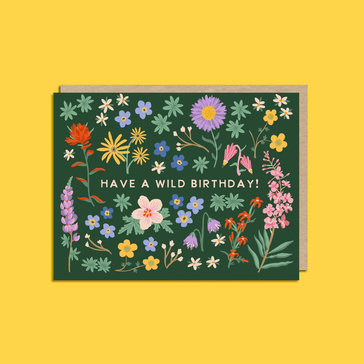 Have a Wild Birthday Card