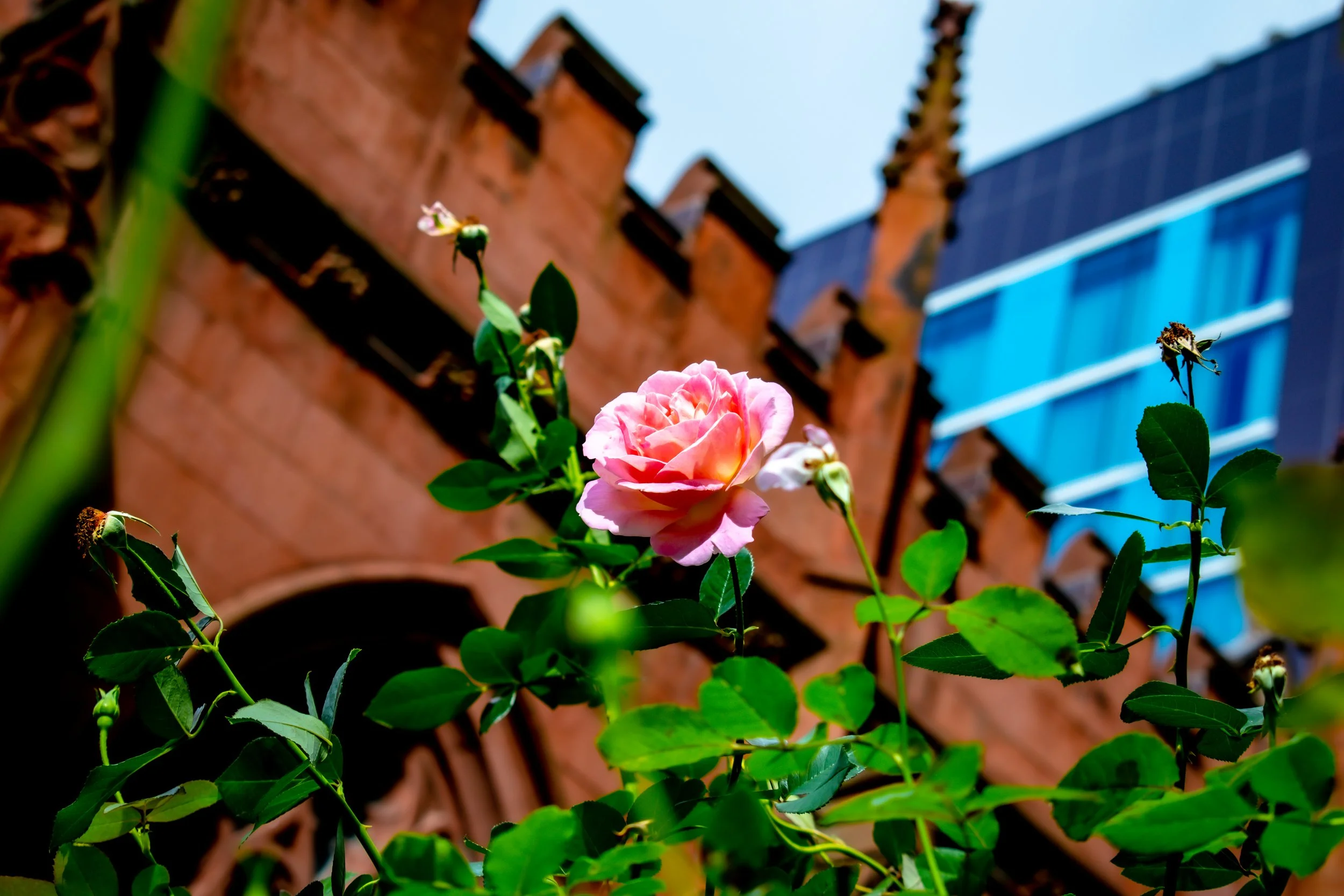 DSC_0426.jpg