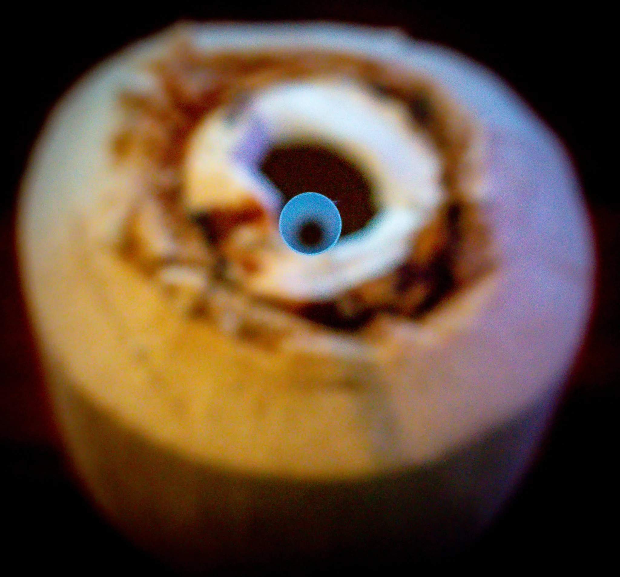 Young Coconut Water & Meat