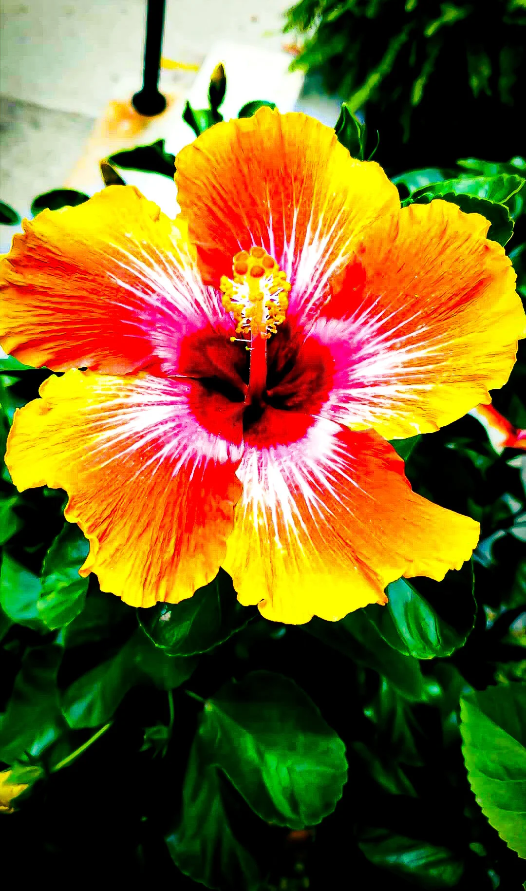 Screenshot_20201028-090557_Instagram.jpg