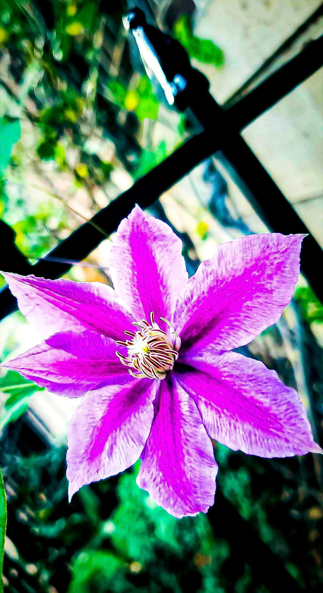 Screenshot_20201028-090826_Instagram.jpg