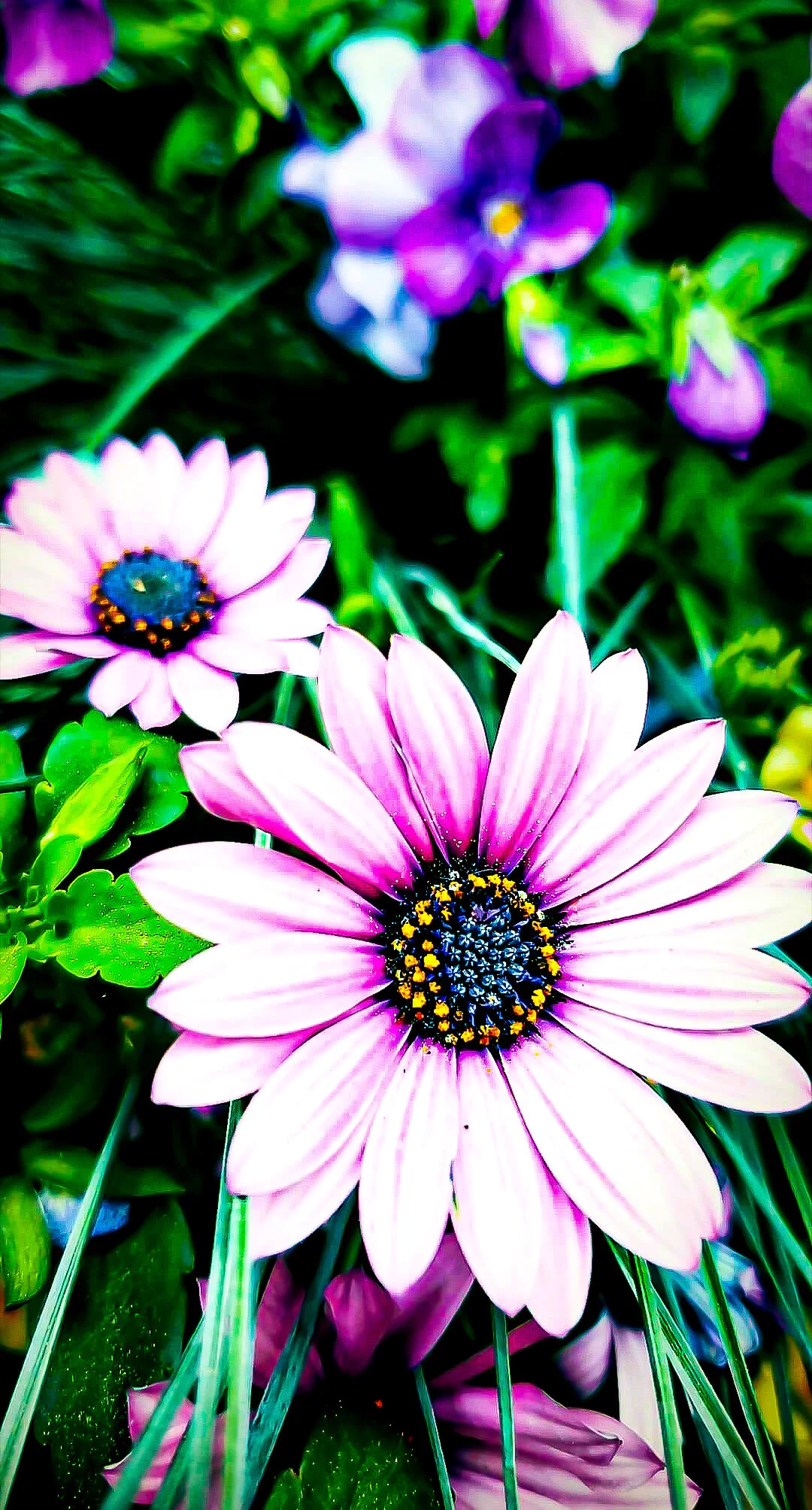 Screenshot_20201028-090723_Instagram.jpg