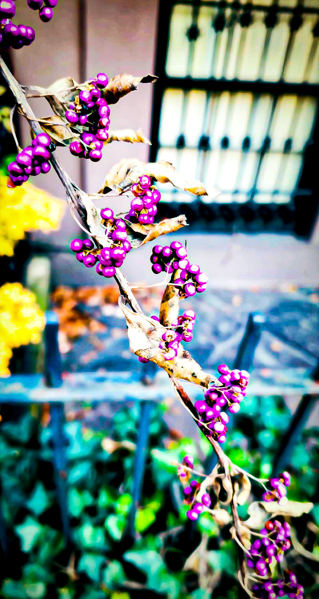 Screenshot_20201028-090616_Instagram.jpg