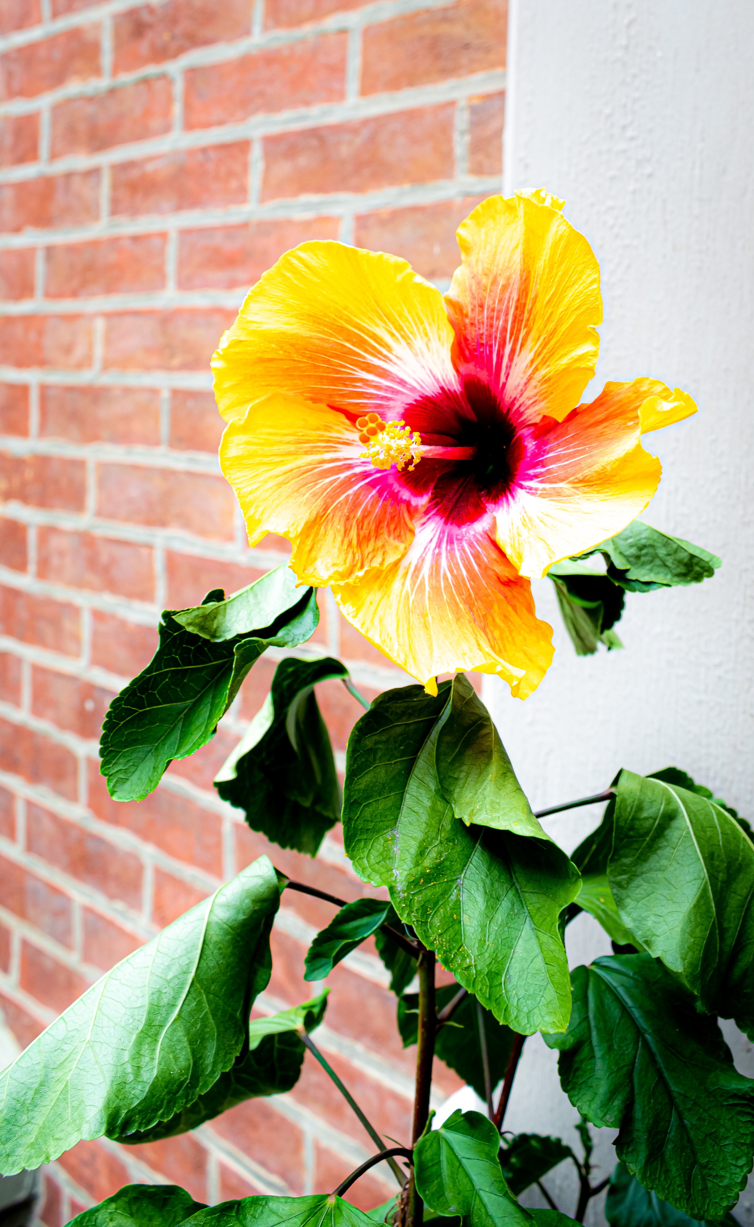 DSC_0415.jpg