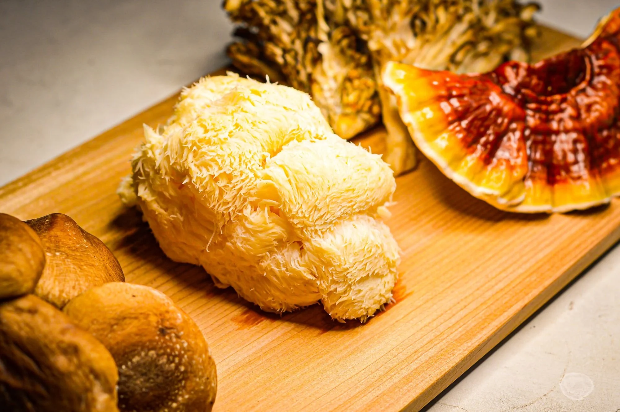 Assorted wild mushrooms on a wooden cutting board