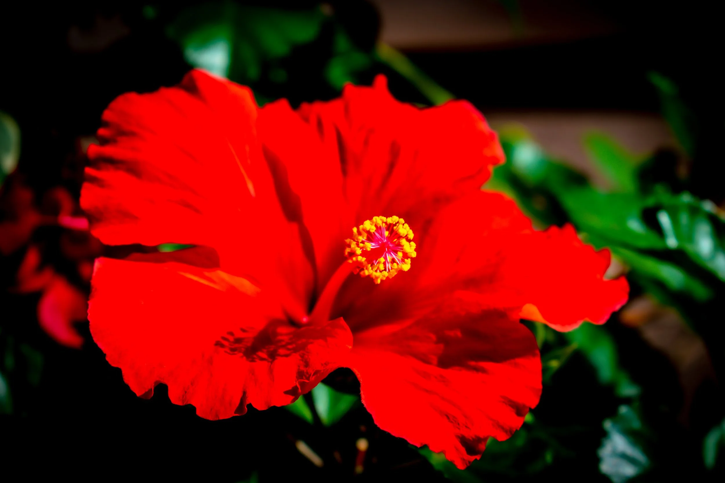 DSC_0365.jpg