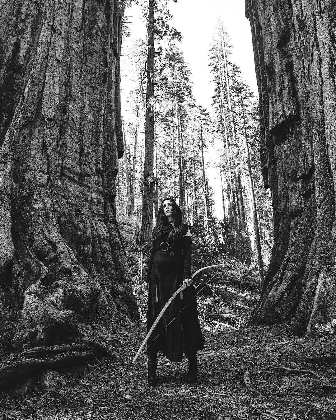 Chelsea Wolfe / Northern California forest. 