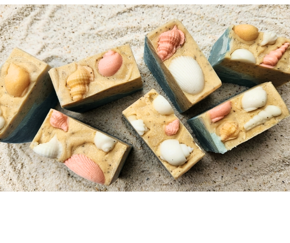 She Sells Seashells 2.png