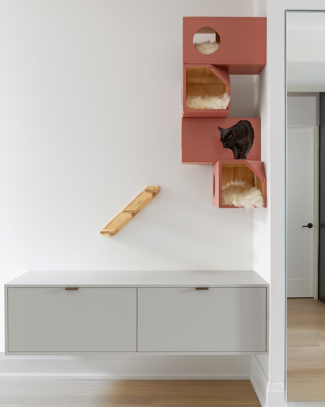 They wanted something thoughtfully designed for their fur family, and we were happy to accommodate.

This custom cat wall was developed alongside the rest of Project Gloucester&rsquo;s modern, pared-back interiors, so it feels intentional and cohesiv