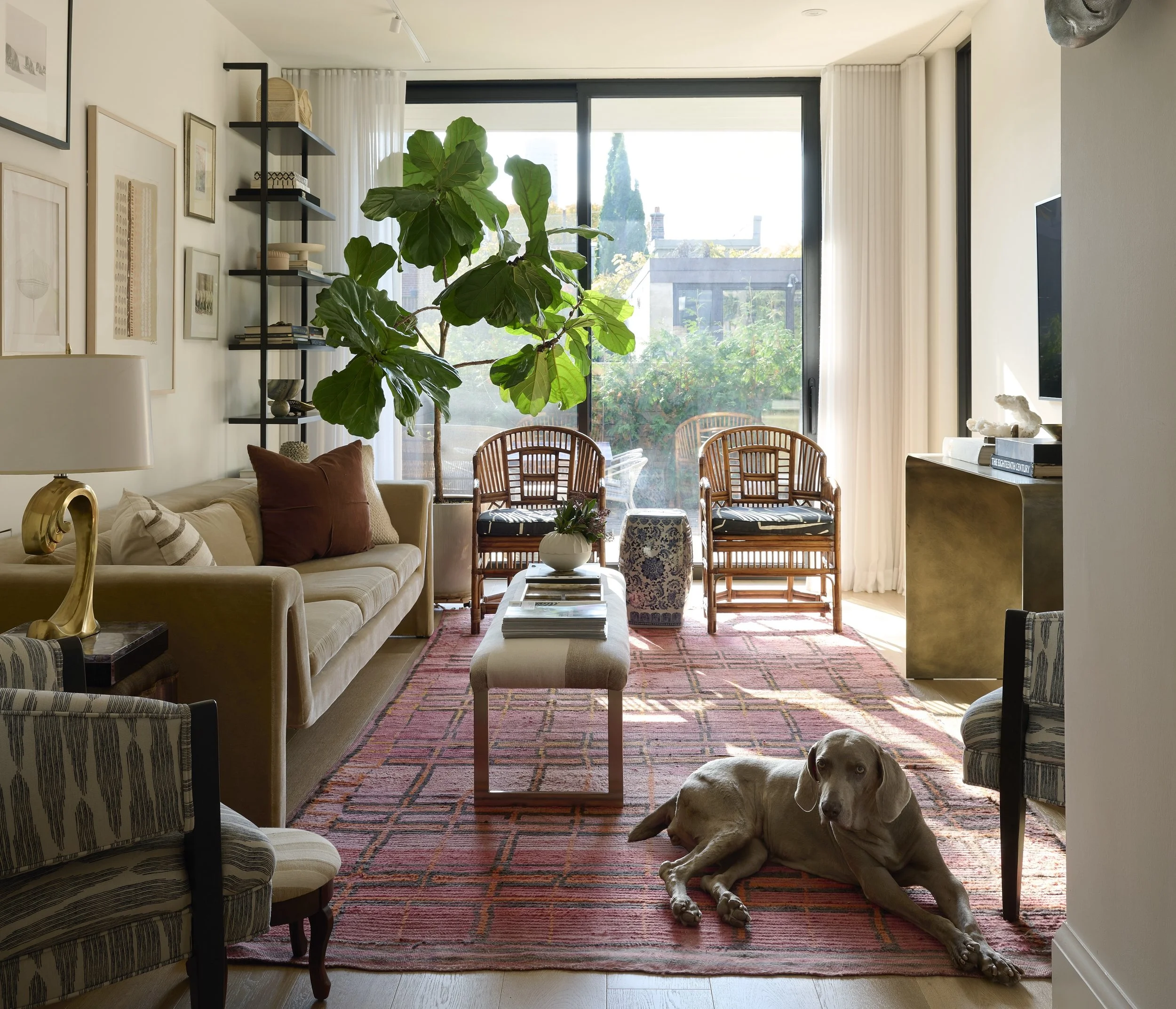 Alcorn — Meghan Carter Design