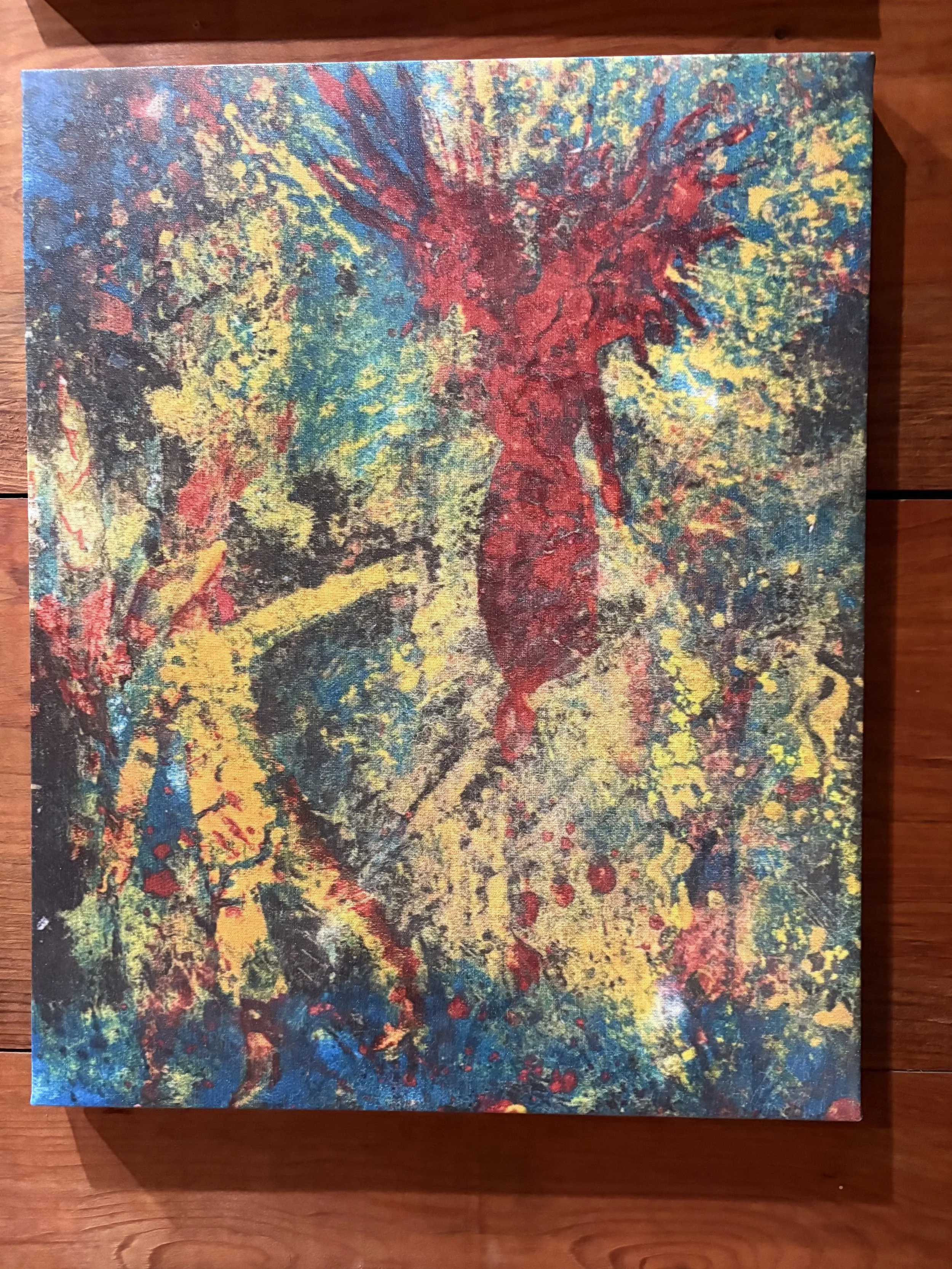 Stephen Koelsh Abstract Vibrance Canvas Print