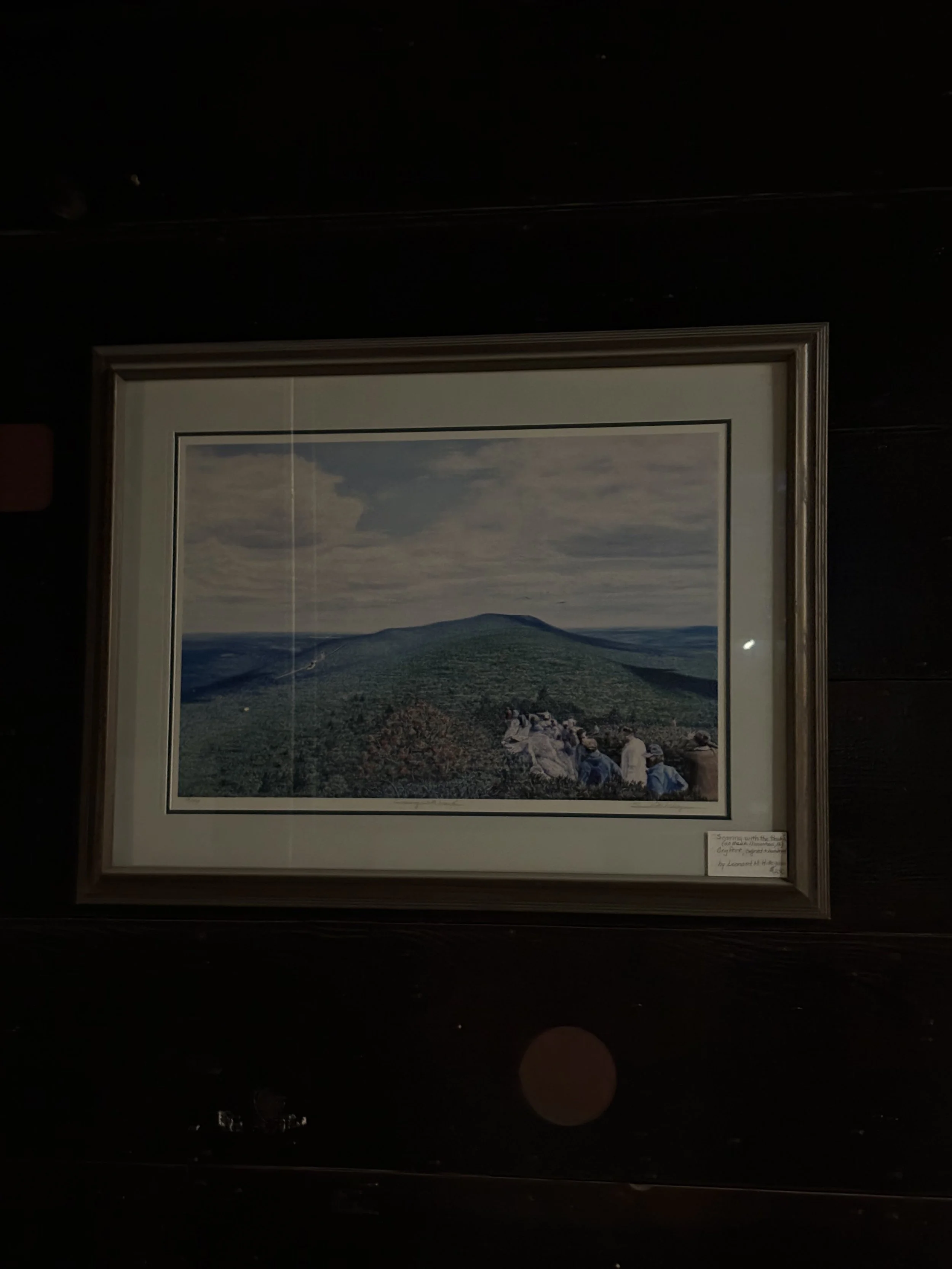 Soaring With the Eagles - Leonard M. Framed Landscape Print