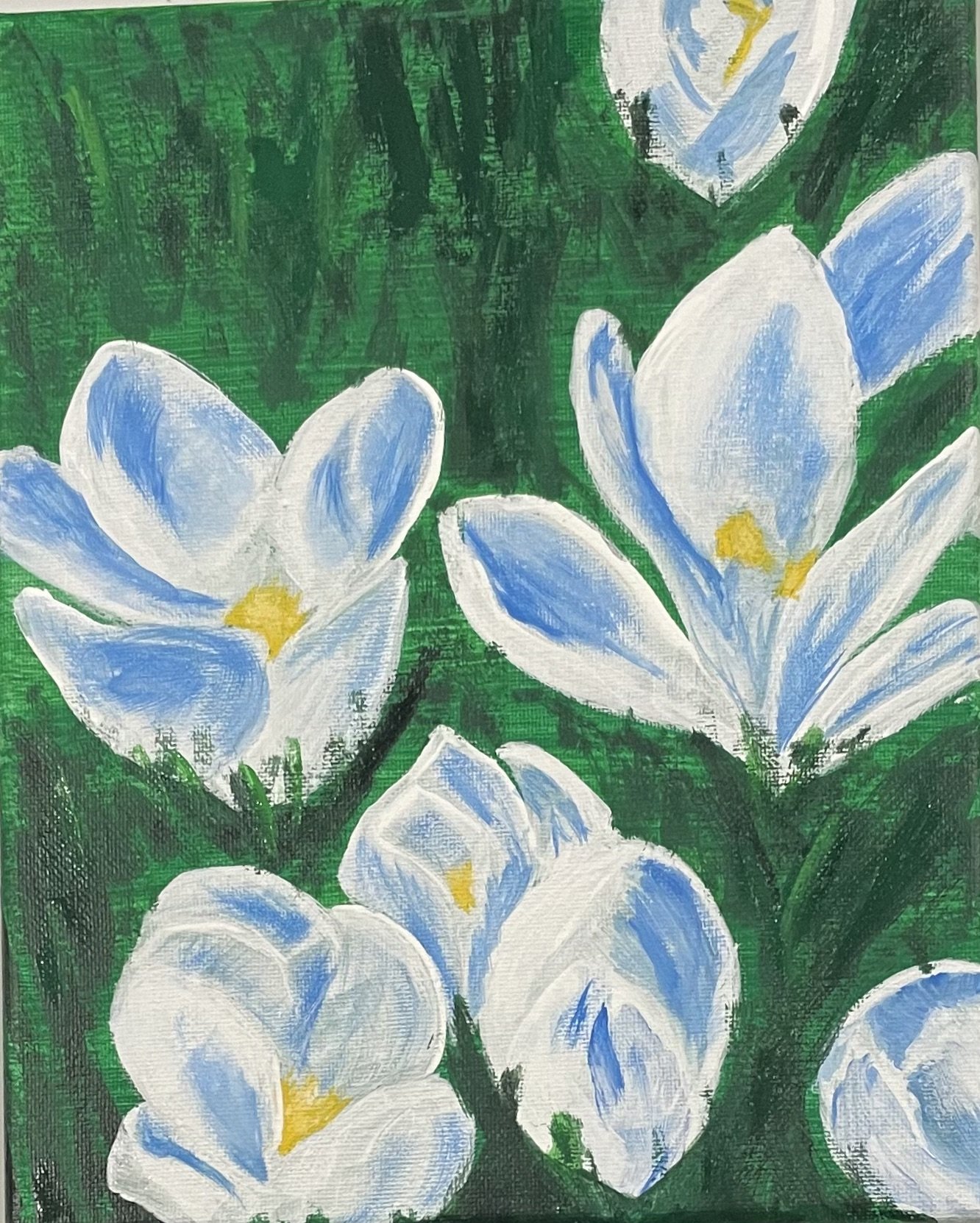P&S CROCUS.jpeg