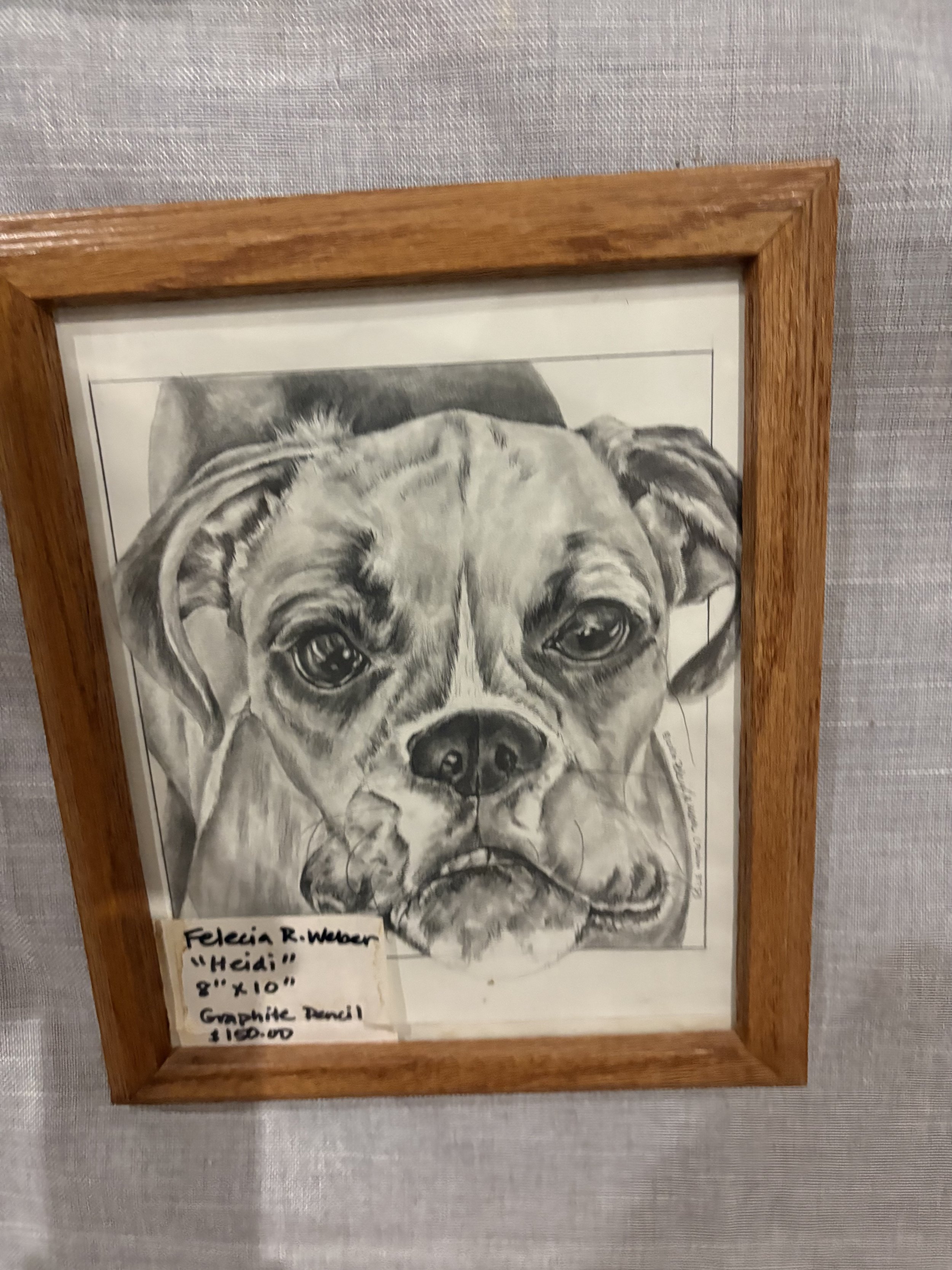 Heidi: Graphite Pencil Dog Portrait by Felecia R. Weber