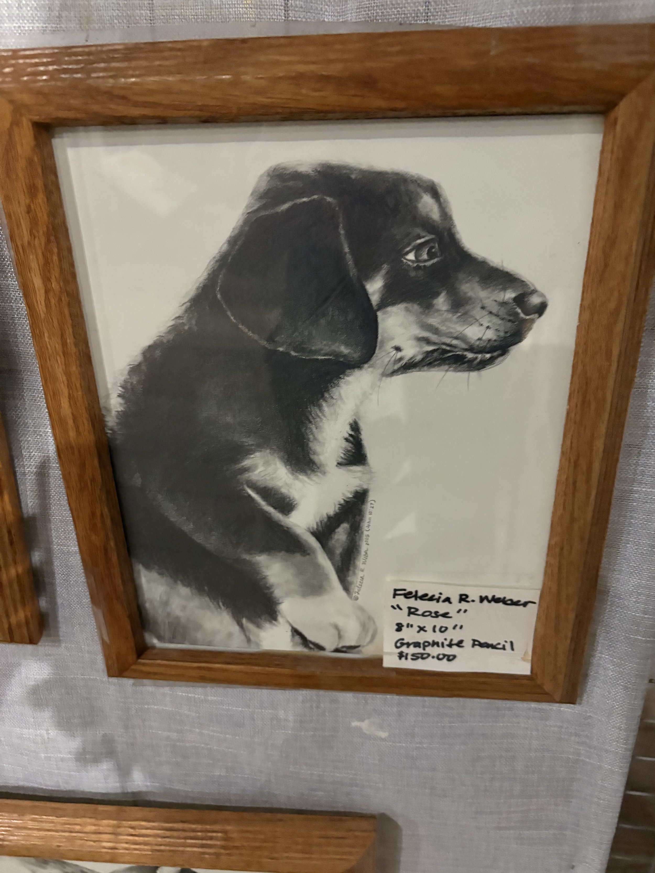"Rose" - Custom Graphite Dog Portrait by Felecia R. Weber