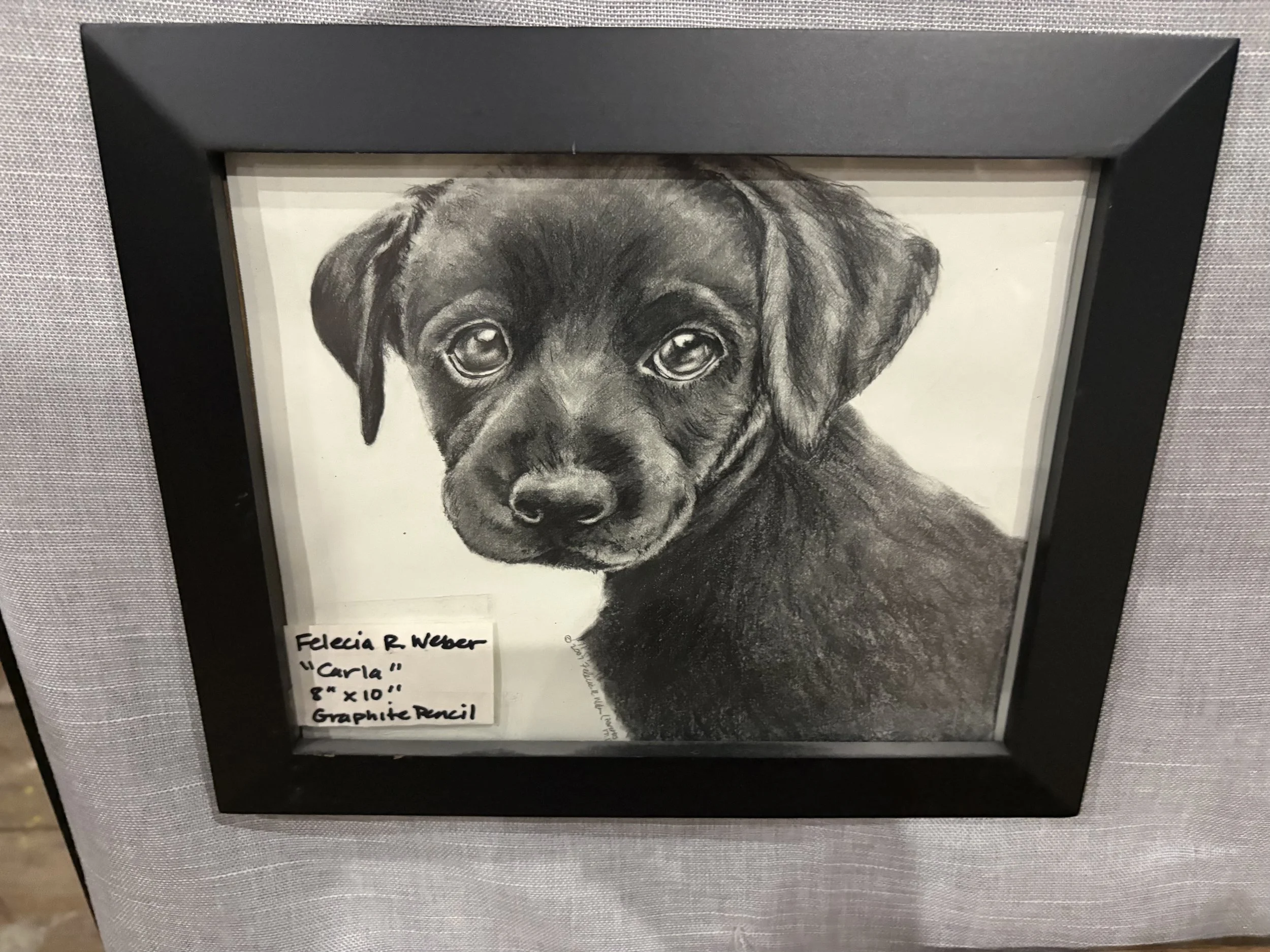 Felecia R. Weber Graphite Puppy Portrait
