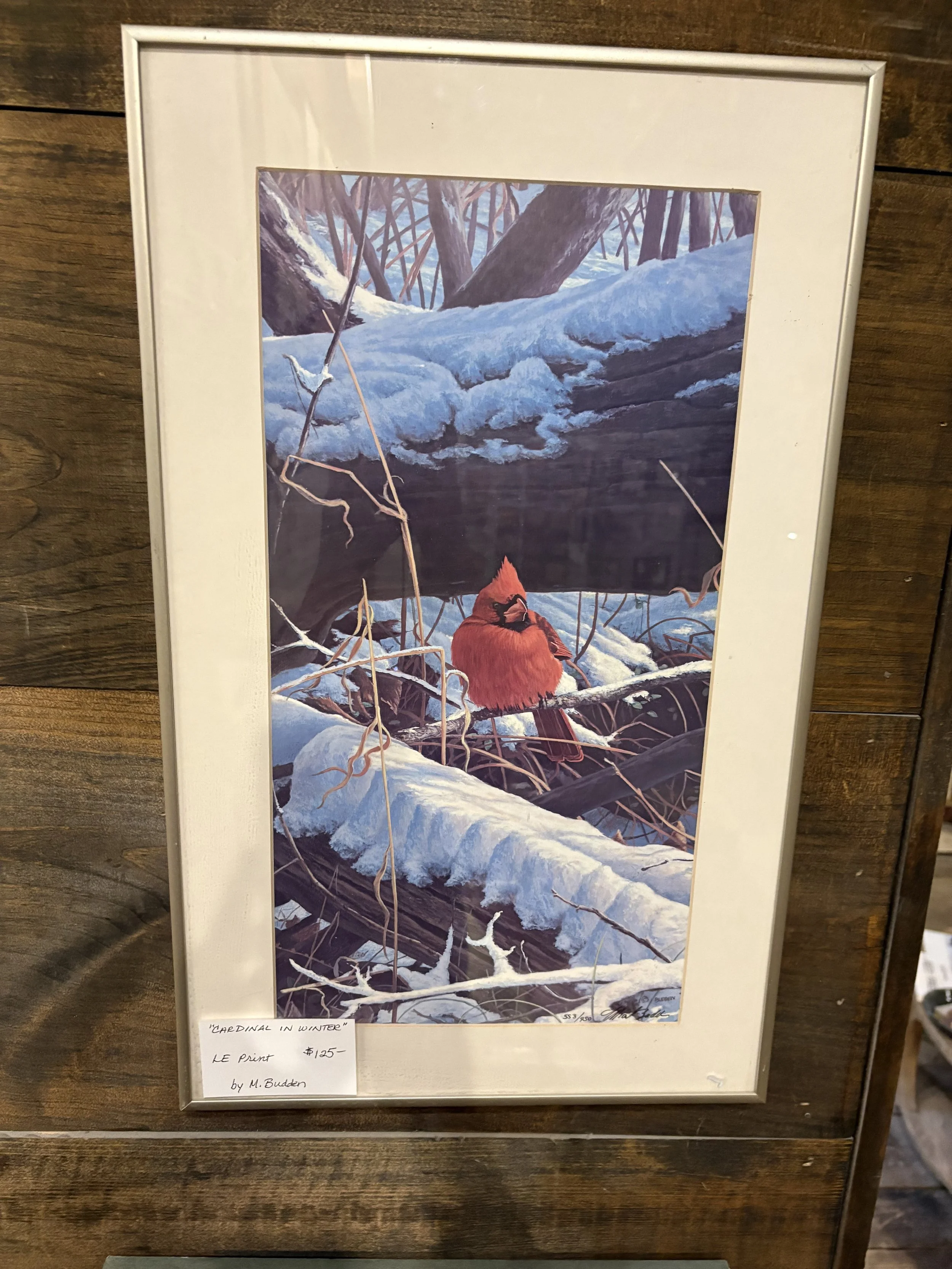 Cardinal in Winter - Limited Edition Print by M. Budden