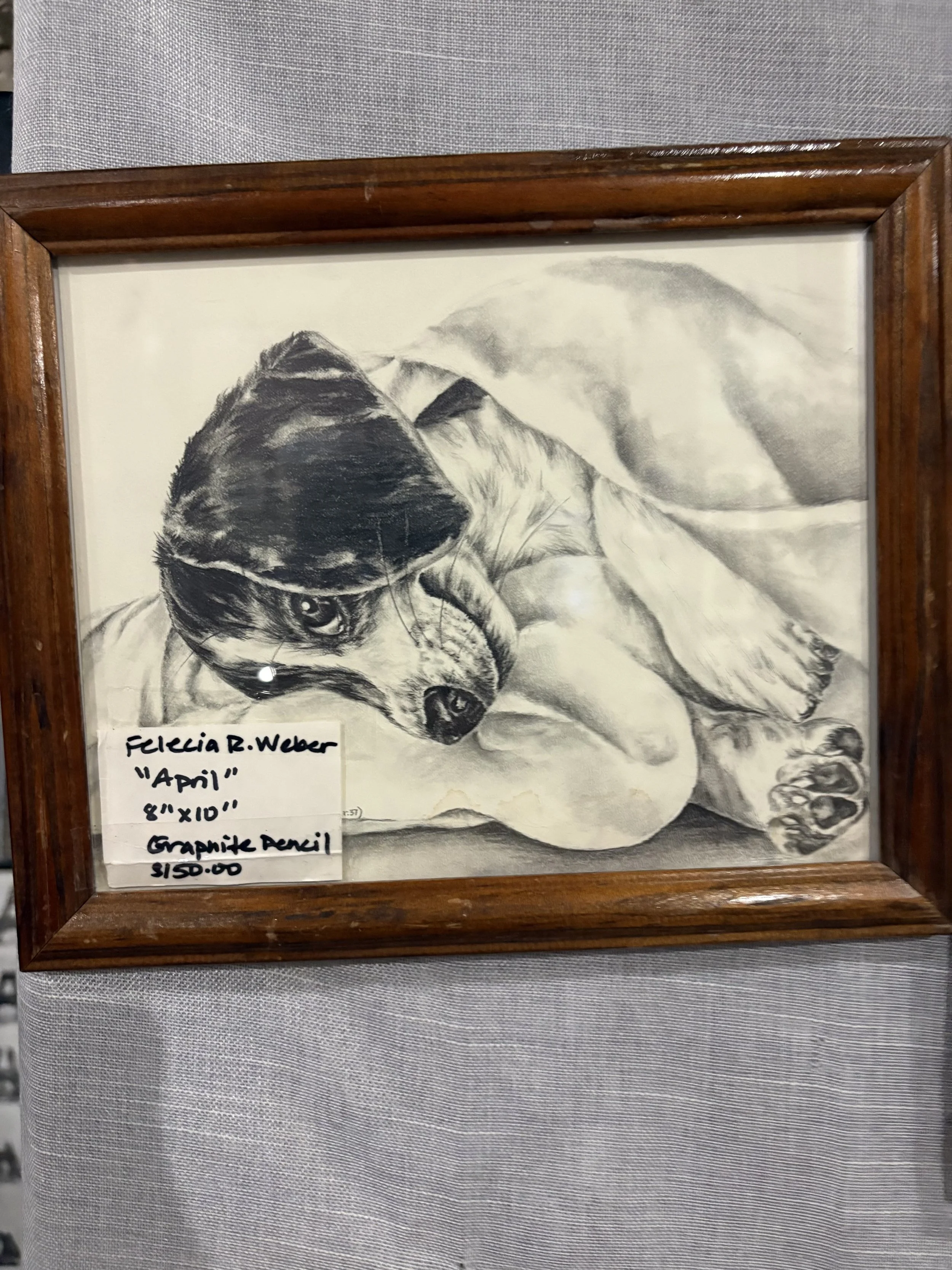 'April' Original Graphite Drawing by Felicia R. Weber