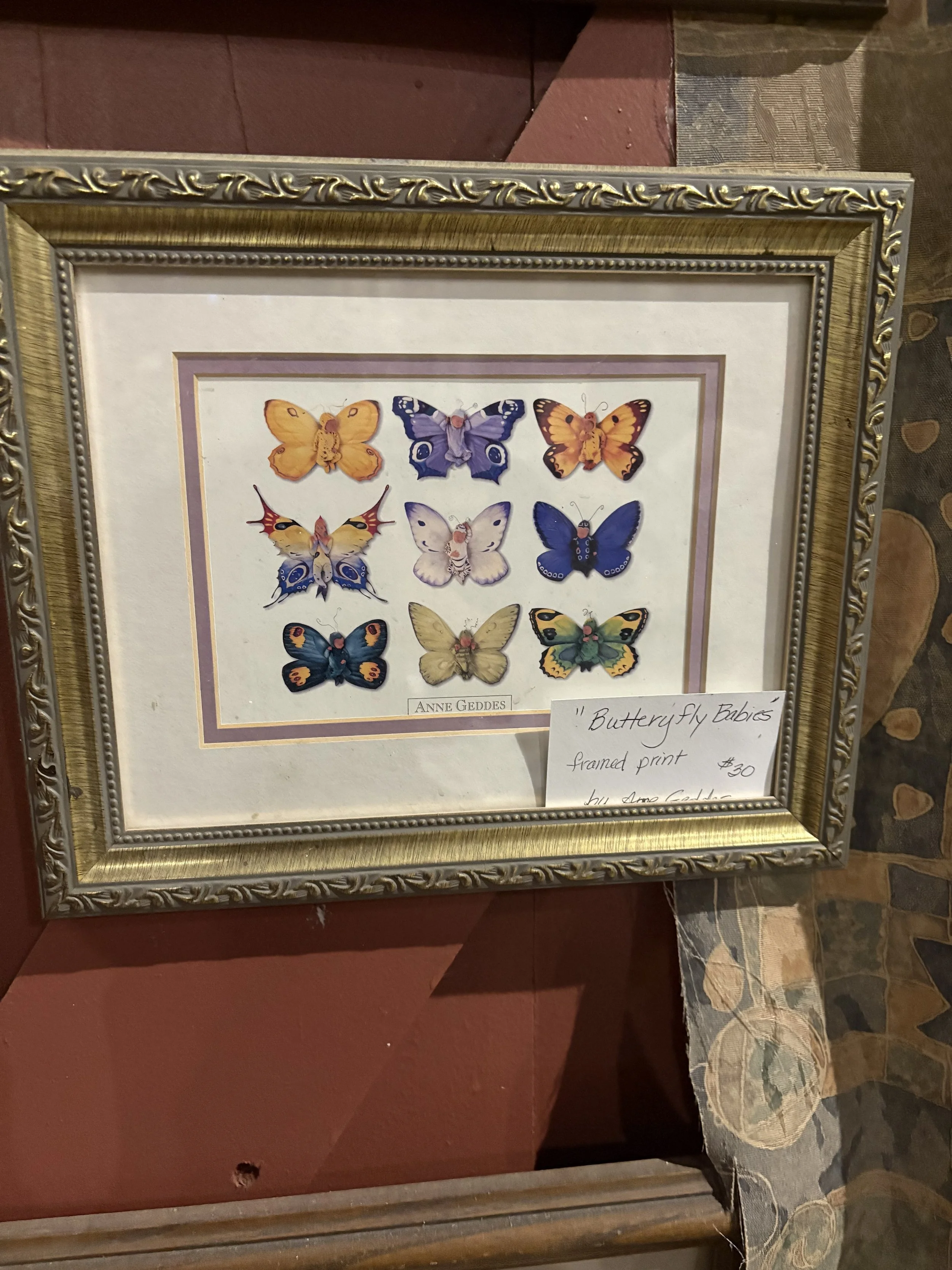 Anne Geddes "Butterfly Babies" Framed Print