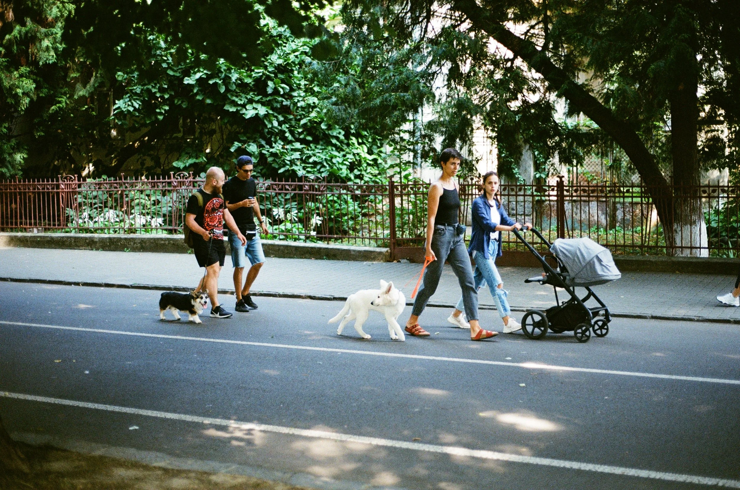 The Benefits of Walking