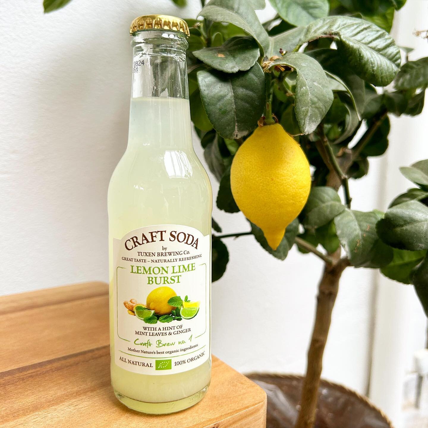 We just love fresh organic lemons 🍋 Especially in our LEMON LIME BURST soda with a hint of lime and mint 🌿 100% organic, naturally! Cheers 💚😋 www.craftsoda.dk @craft.soda #gourmetsoda #nonalcoholicdrink #craftsoda  #organic #madeindenmark #tuxenb