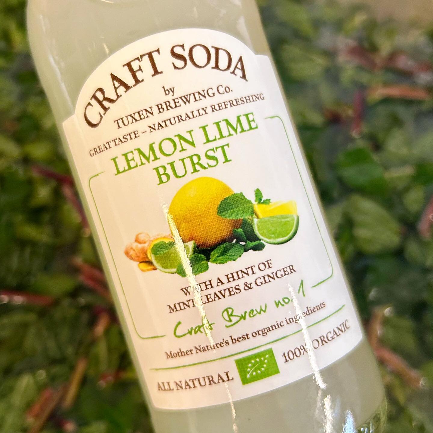 Small batch organic LEMON LIME BURST in the making &hellip;. Cheers! 💚🌿🍋😋 www.craftsoda.dk @craft.soda #gourmetsoda #nonalcoholicdrink #craftsoda  #organic #madeindenmark #tuxenbrewingcompany