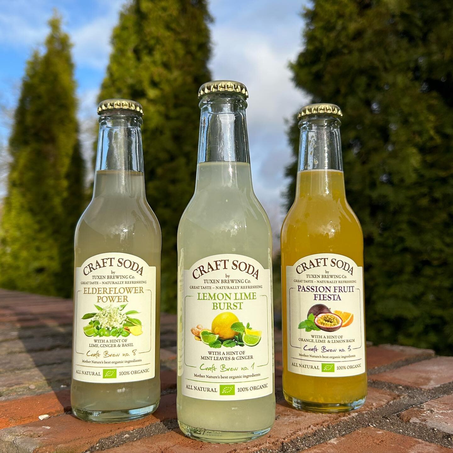 No concentrates, no additives, no preservatives, no citric acids. In other words, no compromises. Just Mother Nature&rsquo;s good stuff. 100% organic, naturally! Cheers! 💚😋 www.craftsoda.dk @craft.soda #gourmetsoda #nonalcoholicdrink #craftsoda  #o