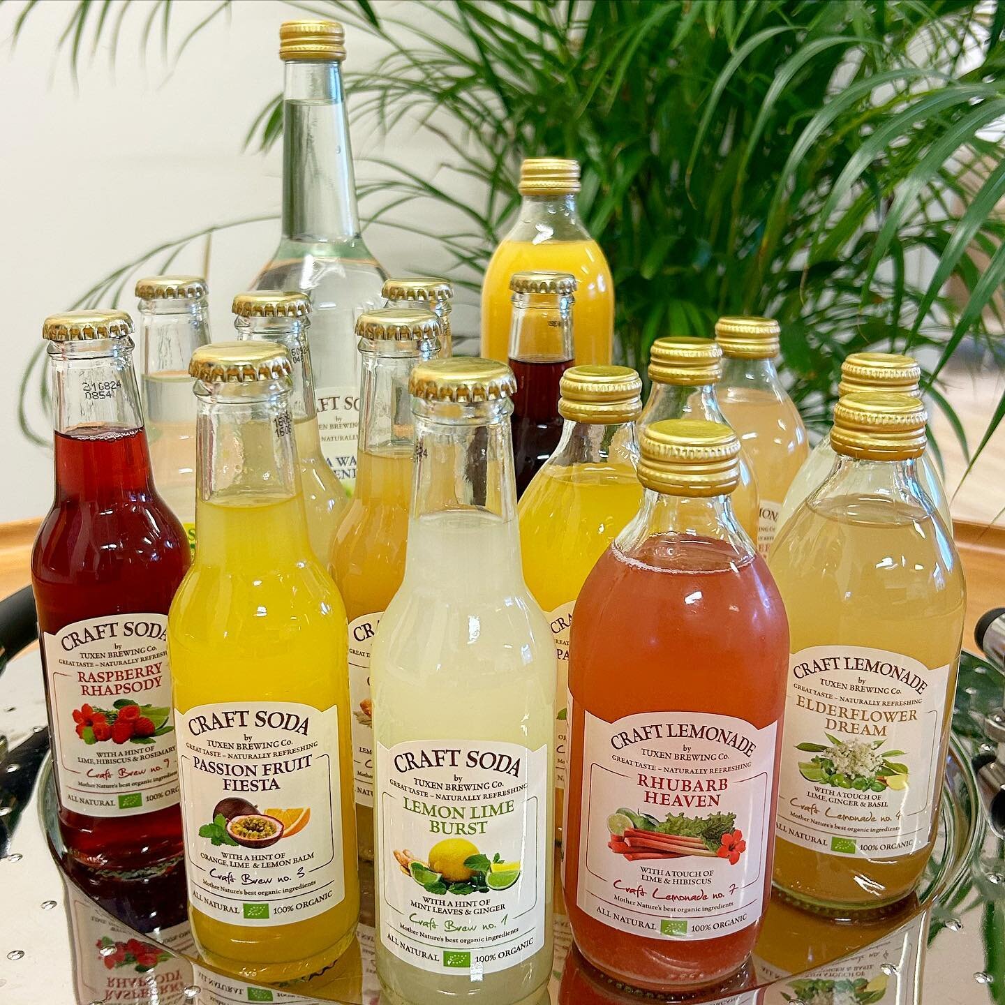 Something to suit all tastes. Sparkling or non-sparkling &hellip; the choice is yours. Cheers! 💚😋 www.craftsoda.dk @craft.soda #gourmetsoda #nonalcoholicdrink #craftsoda  #organic #madeindenmark #tuxenbrewingcompany