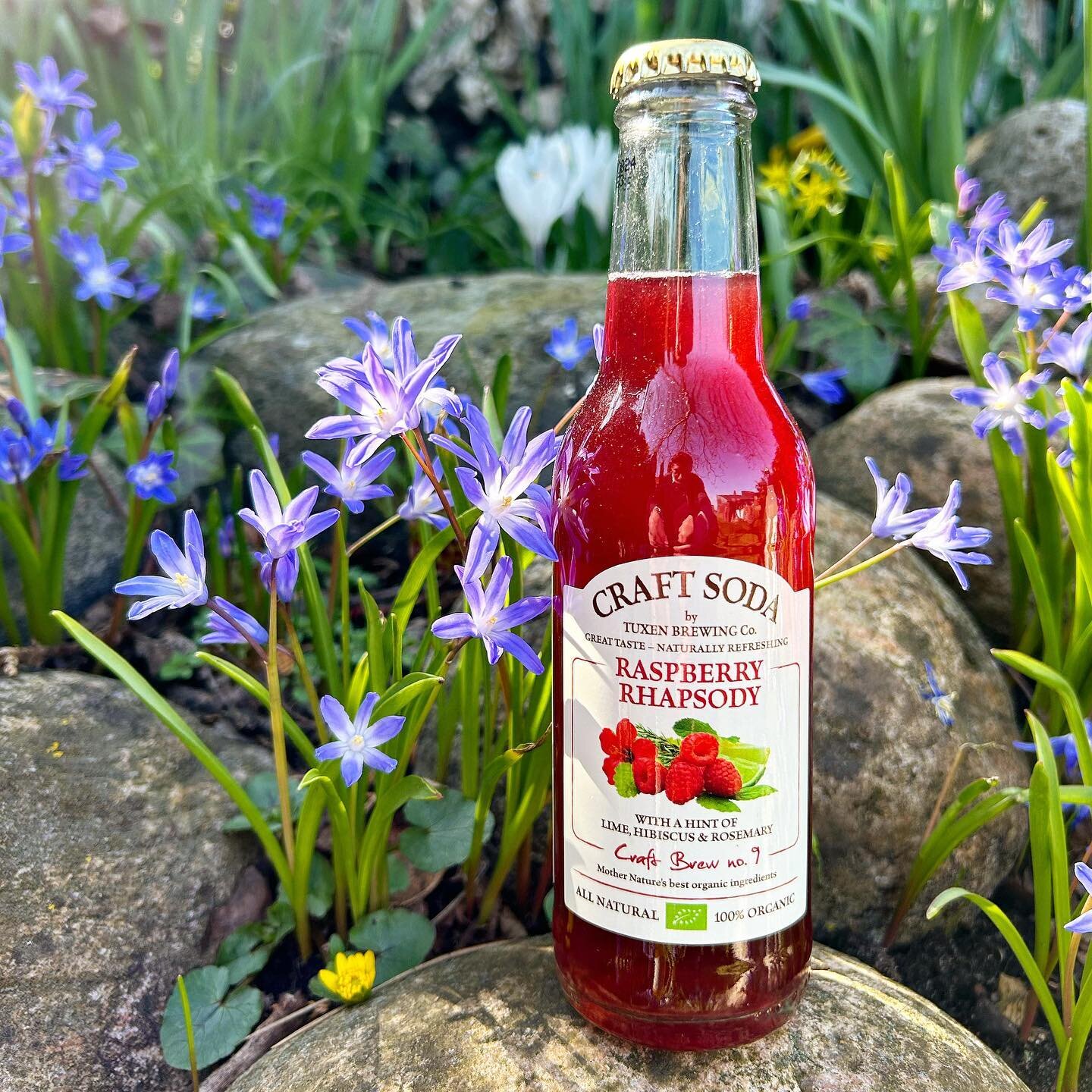 RASPBERRY RHAPSODY &hellip; &lsquo;Craft Brew no. 9&rsquo; loaded with organic rasperries, lime, mint, rosemary and a hint of hibiscus 🌿🌺 100% organic and truly tasty &hellip; Cheers! 💚😋 www.craftsoda.dk @craft.soda #gourmetsoda #nonalcoholicdrin