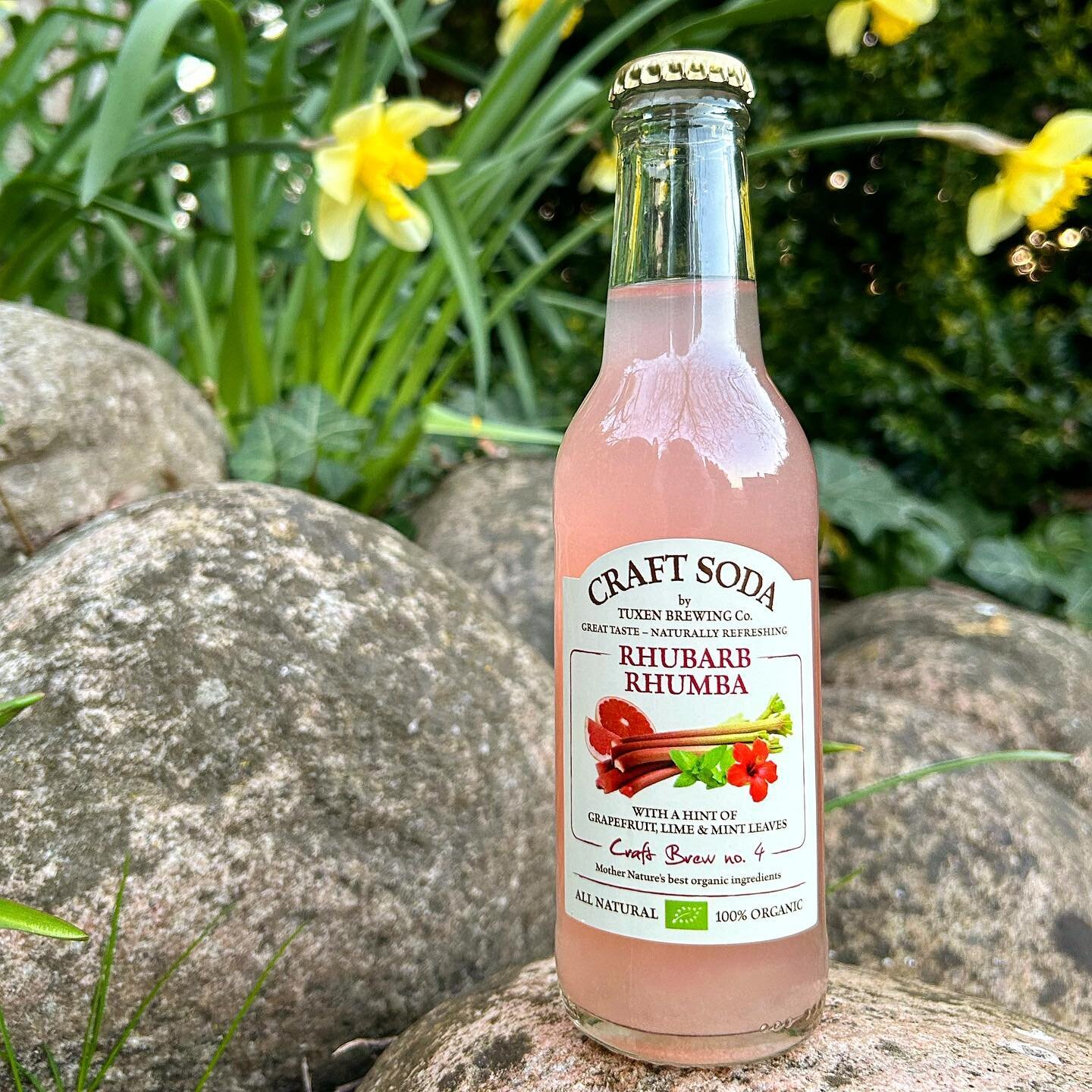 Let&rsquo; RHUBARB RHUMBA &hellip; Cheers! 💚😋 www.craftsoda.dk @craft.soda #gourmetsoda #nonalcoholicdrink #craftsoda  #organic #madeindenmark #tuxenbrewingcompany