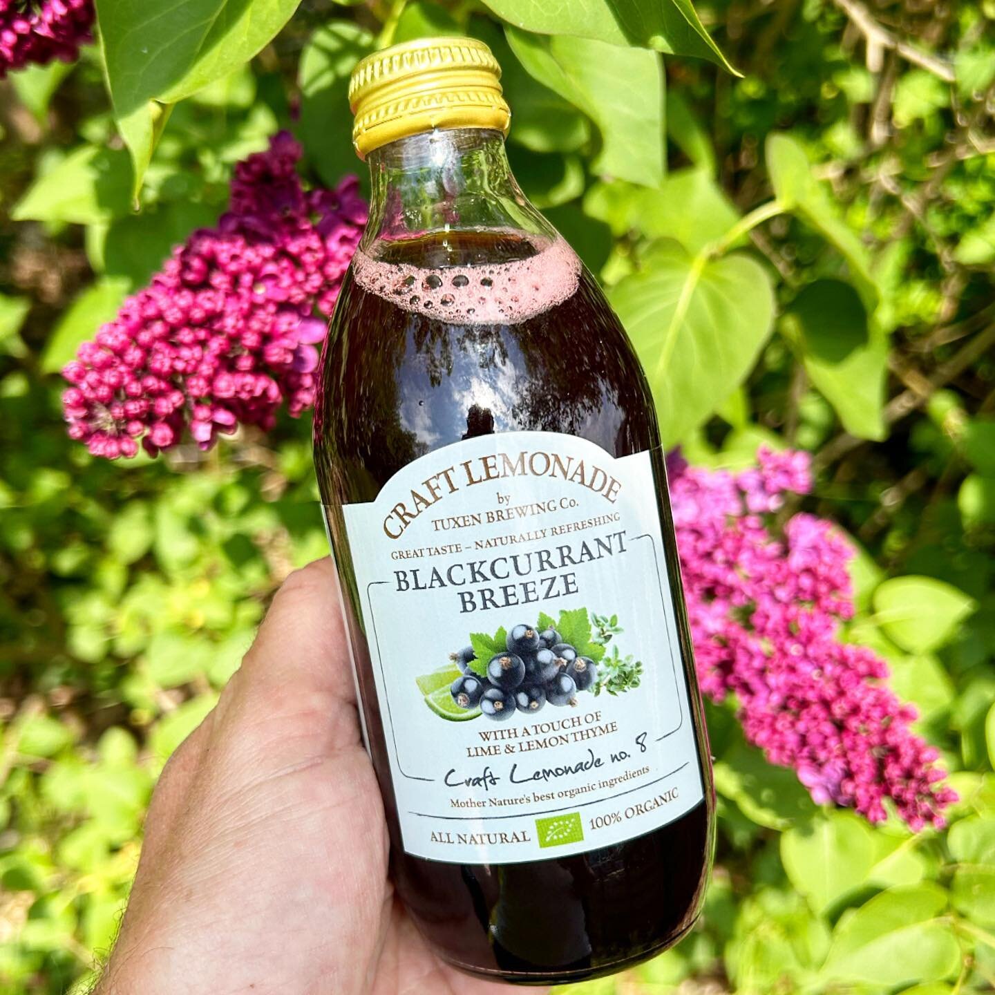 Please welcome our new refreshing family member BLACKCURRANT BREEZE. Loaded with delicious blackcurrants with a touch of lime and lemon thyme. 100% organic, naturally. Enjoy!💚😋 www.craftlemonade.dk @craftlemonade #gourmetlemonade #organic #madeinde