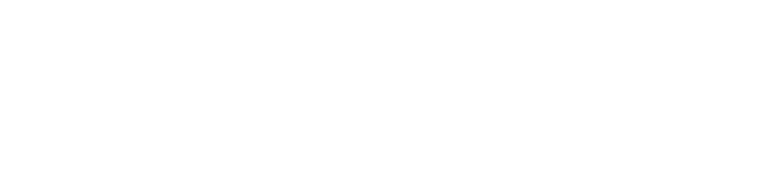 BonLeven Healthcare