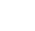 White One Leaf Icon