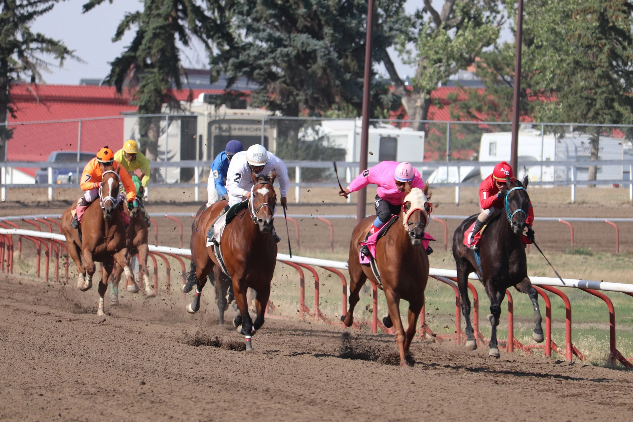 Racing Club - Horse Ownership in Alberta