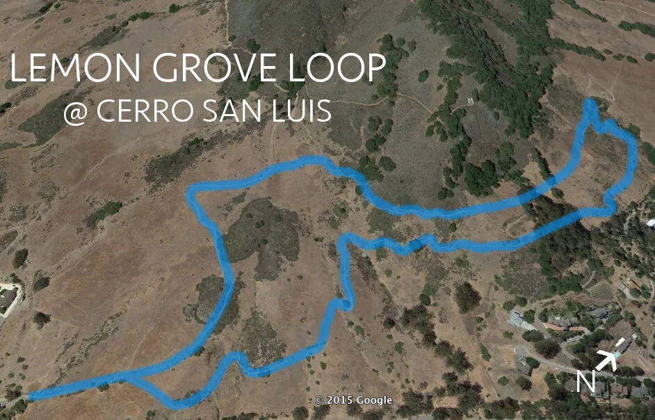lemon-grove-@-cerro-san-luis.jpg