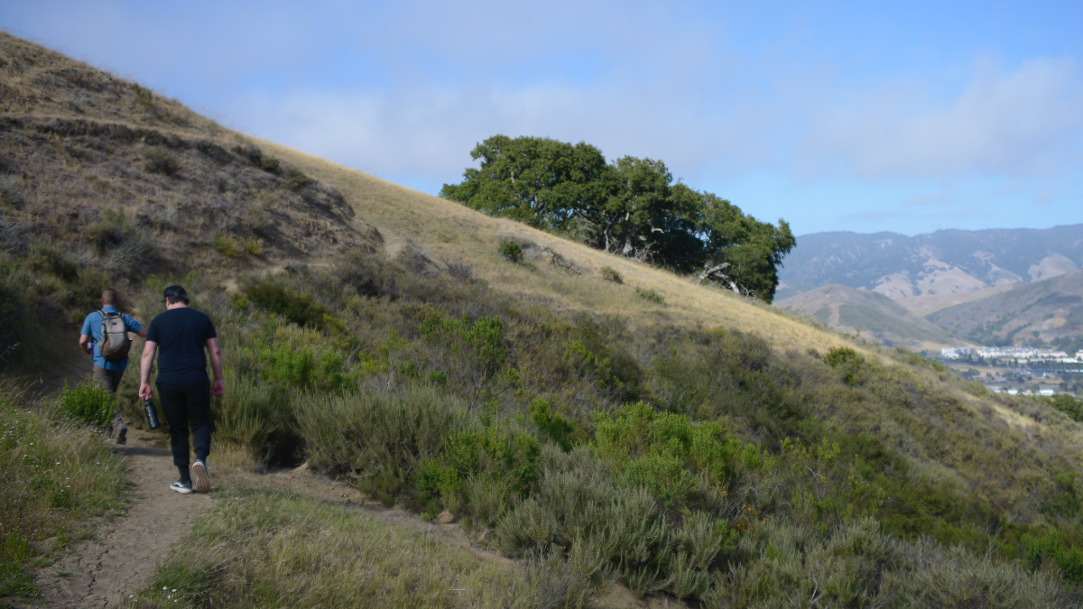 SLO Stewards June Newsletter