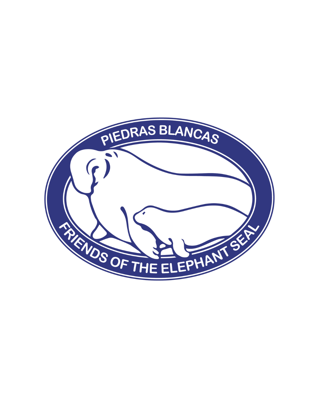 Friends of the Elephant Seal