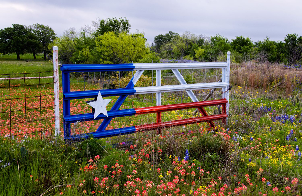 Texas Gate with Wildflowers 1200x778.png
