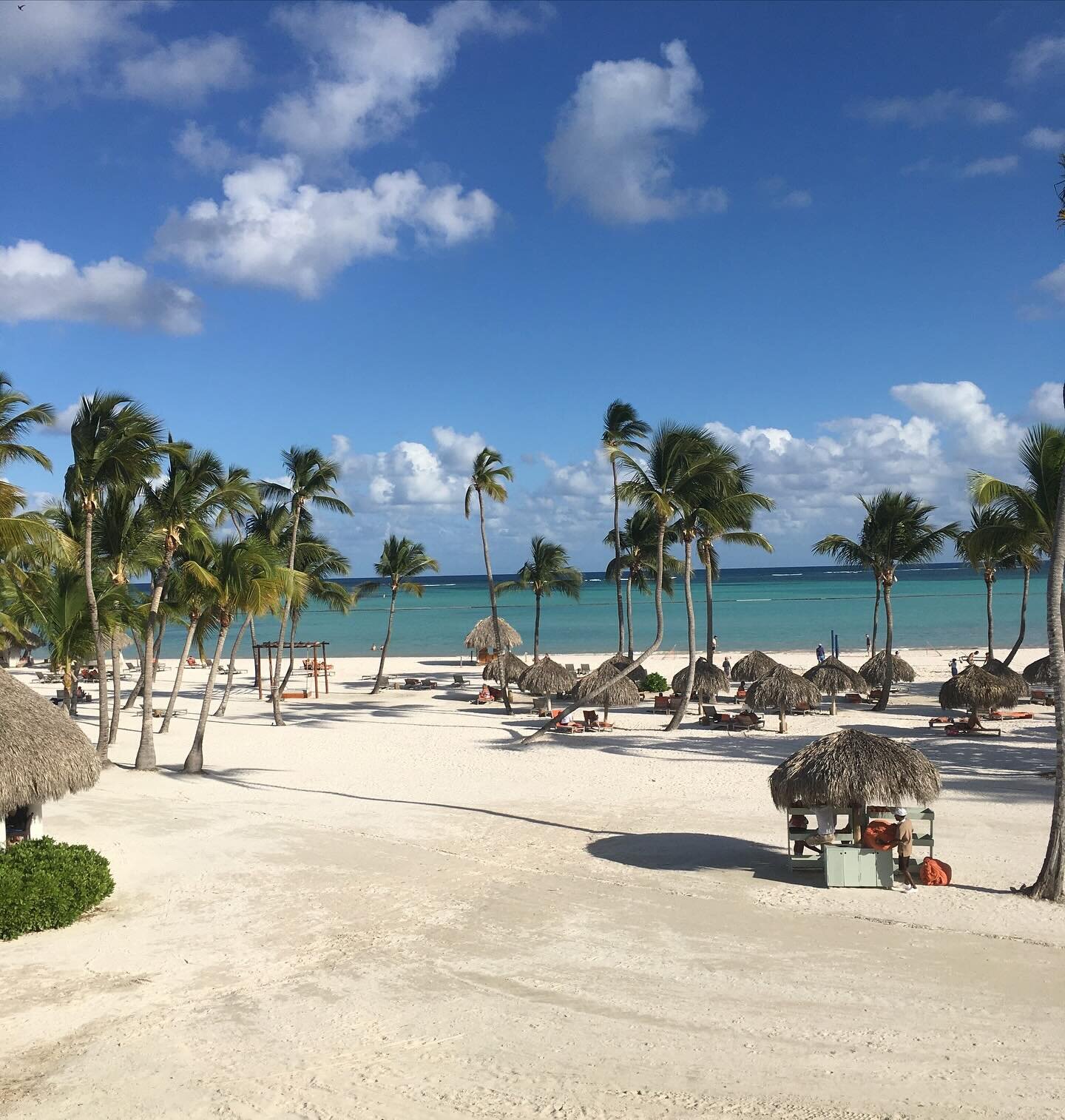 😍 Check out these Monday views! White sand beach, palm trees, beach palapas, &amp; gorgeous ocean views. You&rsquo;d be an April fool to not want to see this in person! 

#DominicanReplublic #WhiteSandBeach #Views #CaribbeanTravel #AllInclusive