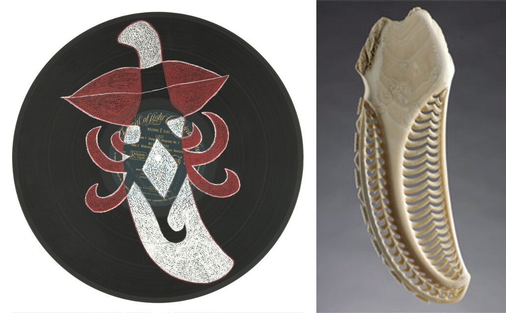  From Art&amp;fact 2005:  Moko on vinyles, Pascal Daudon.  Bone carving, Rangi Kipa. 