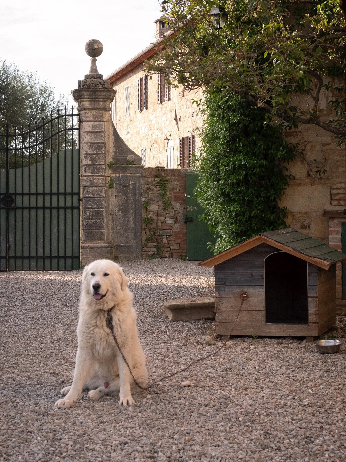 The Tuscan Countryside
//
A timeless palette of green and ochre and faded terracotta whose dusty hues offer an endless source of richness and inspiration. 
//
Faded beauty that is as beautiful as ever; the products we make are imbued with its essence