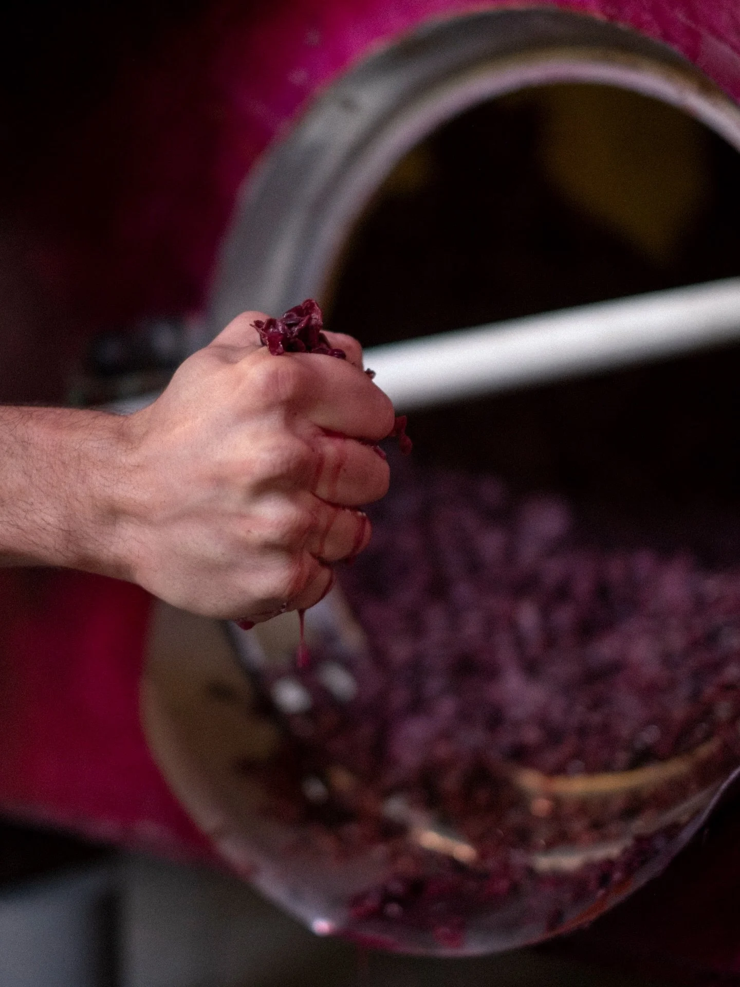 Life in Tuscany
//
When I close my eyes and think of it&hellip;. It&rsquo;s greenery, sunsets, grapes, animals, an unforgettable weekends spent &ldquo;fuori porta&rdquo; exploring the countryside.
//
Pictured in ph. 3 &amp; 5 is our exclusive &ldquo;