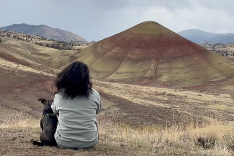 Screenshot 2025-11-19 at 11.55.04 AM.png