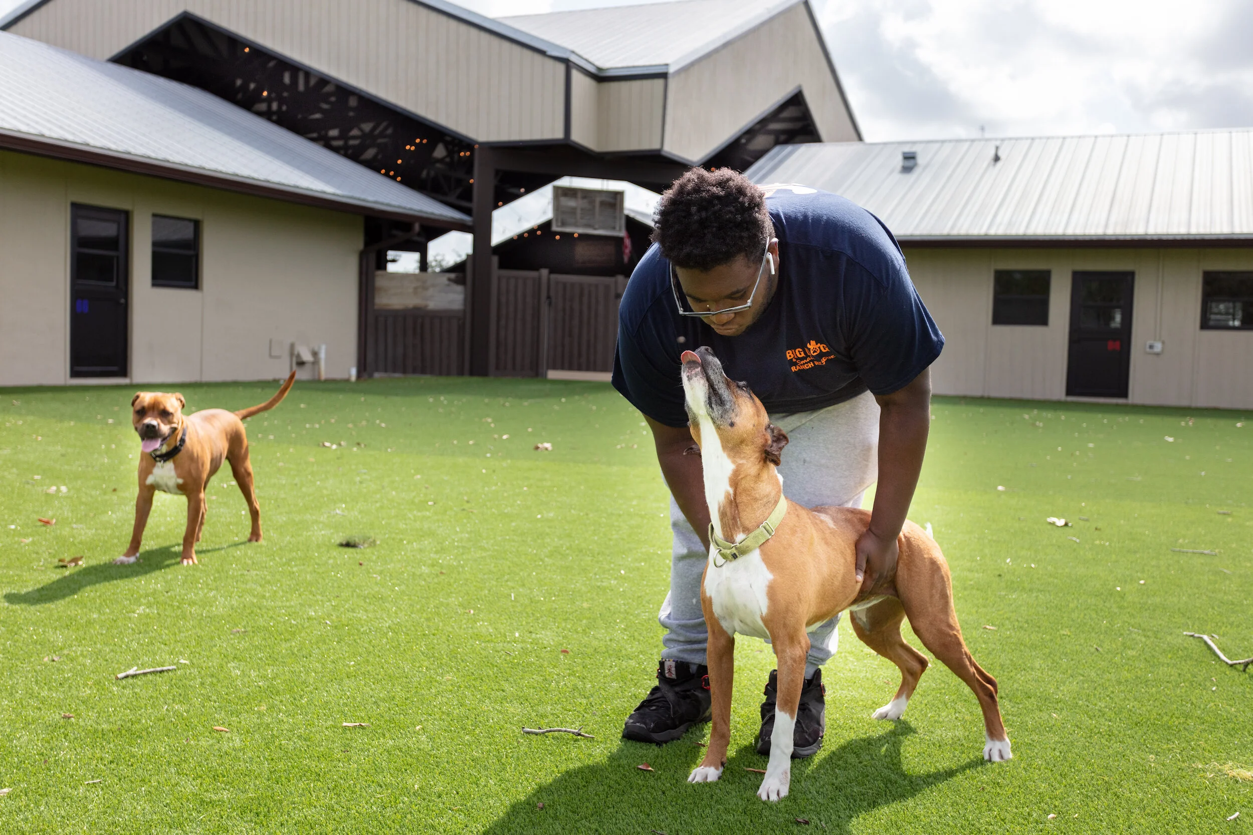 Big Dog Ranch Rescue