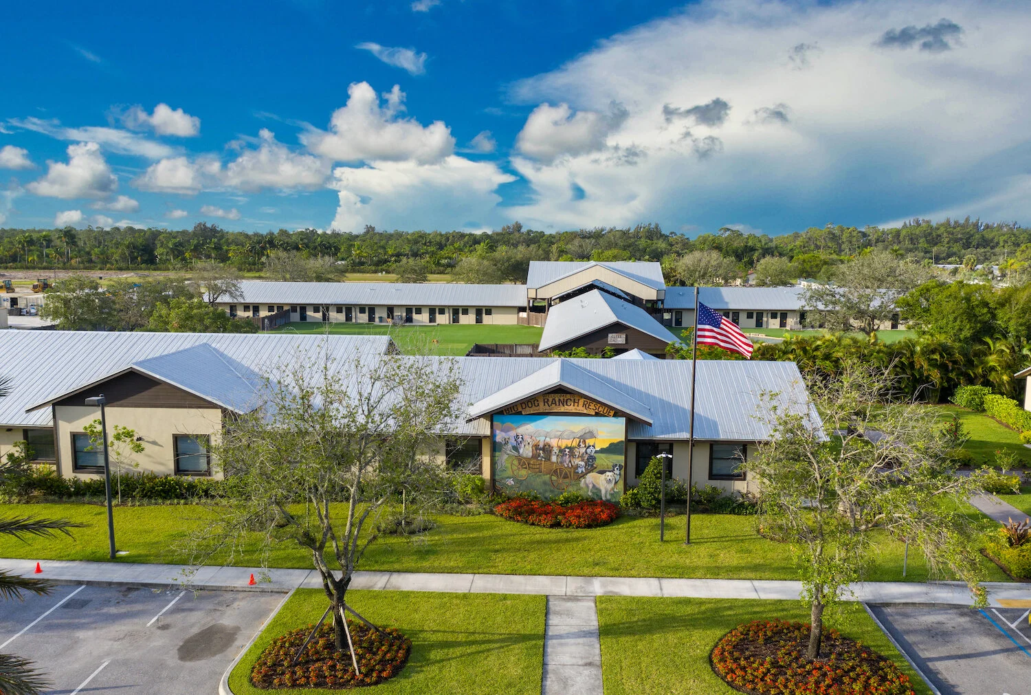 Dog Rescue { Big Dog Ranch Rescue